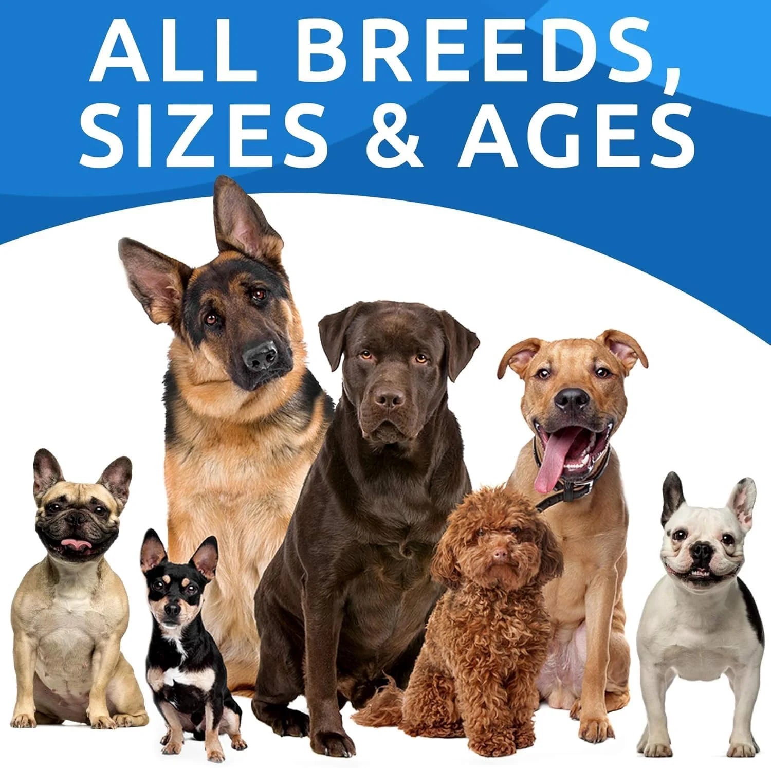 Dog Allergy Relief Chews - Anti-Itch Skin & Coat Supplement - Omega 3 Fish Oil - Itchy Skin Relief Treatment Pills - Itching&Paw Licking - Dry Skin&Hot Spots - (120 Ct - Chicken)