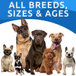 Dog Allergy Relief Chews - Anti-Itch Skin & Coat Supplement - Omega 3 Fish Oil - Itchy Skin Relief Treatment Pills - Itching&Paw Licking - Dry Skin&Hot Spots - (120 Ct - Chicken)