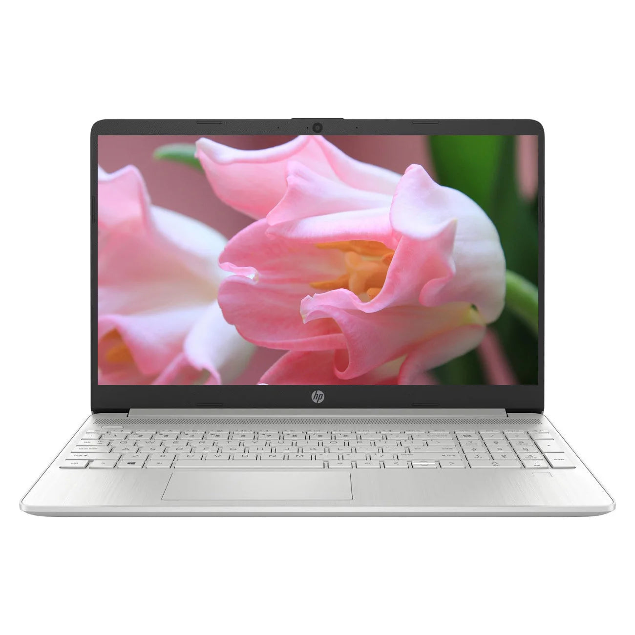 HP 15.6