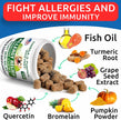 Dog Allergy Relief Chews - Anti-Itch Skin & Coat Supplement - Omega 3 Fish Oil - Itchy Skin Relief Treatment Pills - Itching&Paw Licking - Dry Skin&Hot Spots - (120 Ct - Chicken)