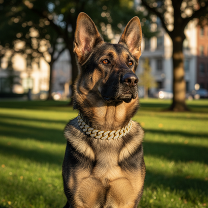 Luxury Cuban Link Dog Collar – Gold Diamond Metal Chain Necklace Jewelry for Pets