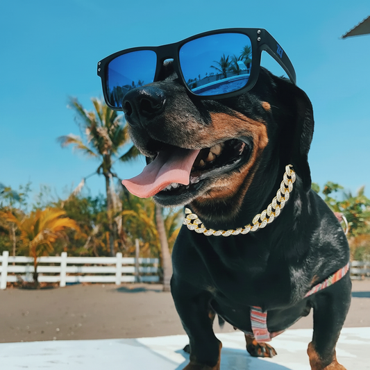 Luxury Cuban Link Dog Collar – Gold Diamond Metal Chain Necklace Jewelry for Pets